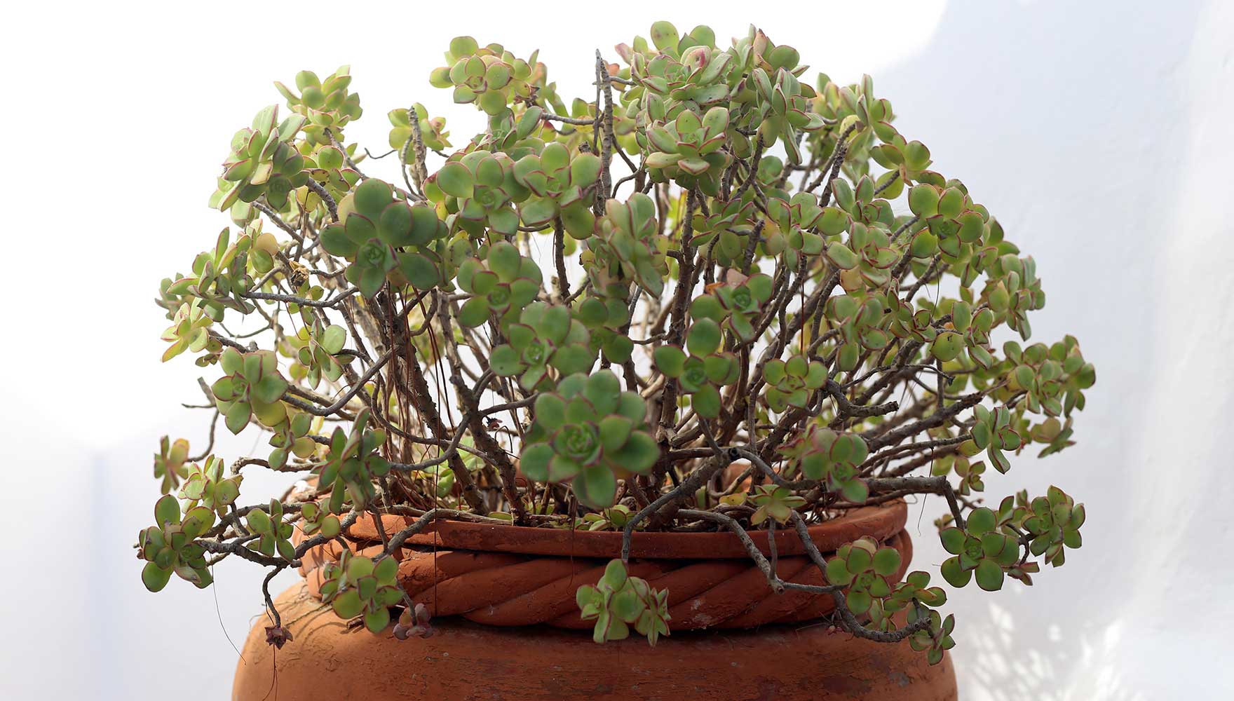 detalhe, decoração